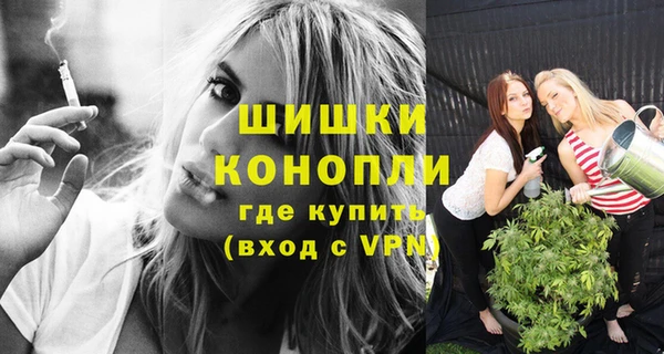 кокс Богородицк