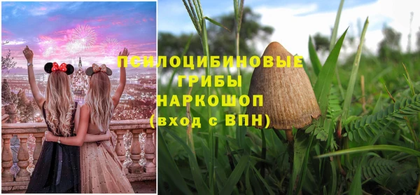 эйфоретик Богородск