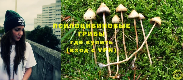MESCALINE Белокуриха